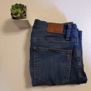 Madewell Roadtripper High Waist Skinny Jeans